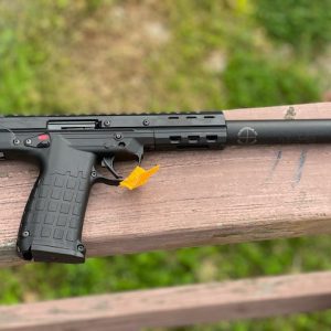 Kel-Tec CP33 + Silencer