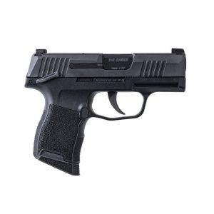 Sig Sauer P365 - Image 3