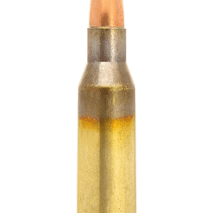.338 Lapua Mag